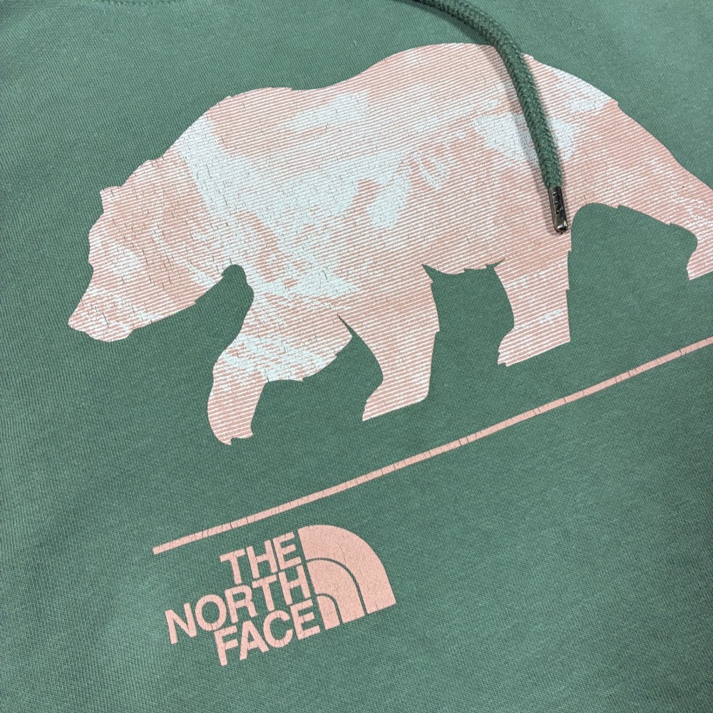The North Face Womens Bear Graphic Hoodie Size‎ L Sage Green Cabincore Granola - Picture 4 of 10